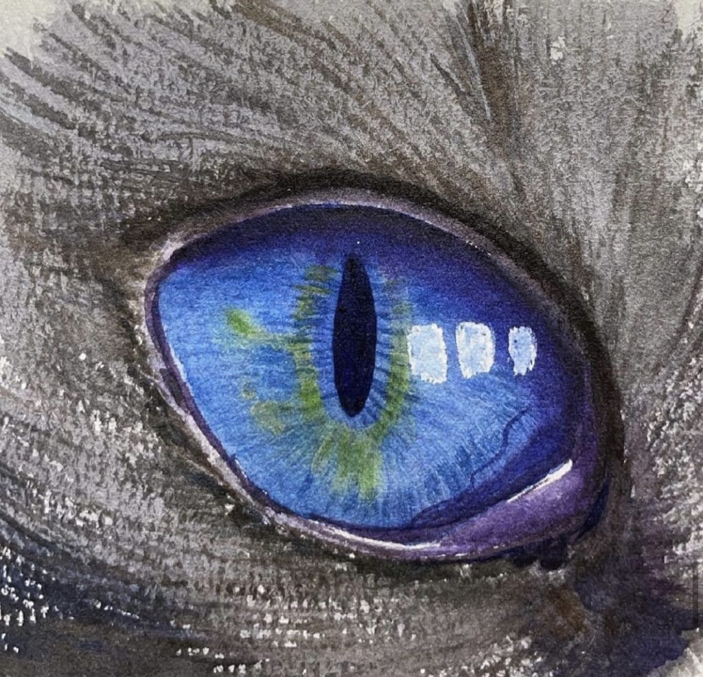 The eye-Watercolor Painting 9X12 by QI HAN